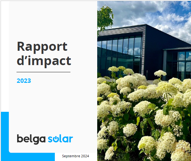 rapport d'impact